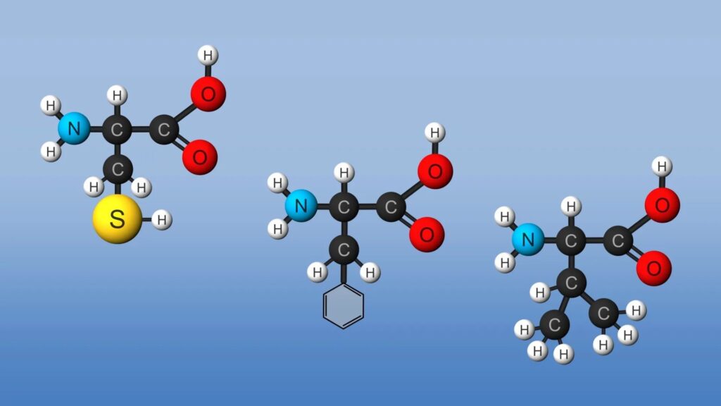 Doctorhub360.com Amino Acids