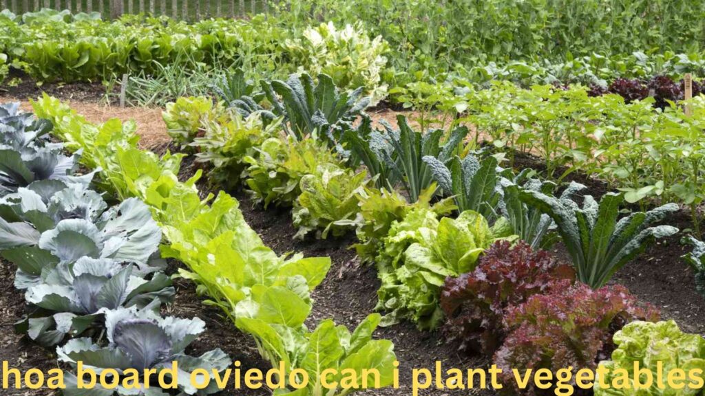 hoa board oviedo can i plant vegetables